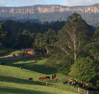 Amaroo Valley Springs - Accommodation Asia