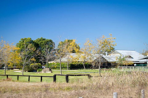 Potters Apartments - Accommodation China 26