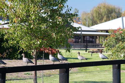 Potters Apartments - Accommodation China 25