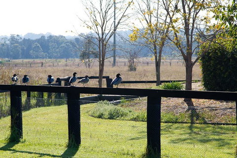 Potters Apartments - Accommodation China 24