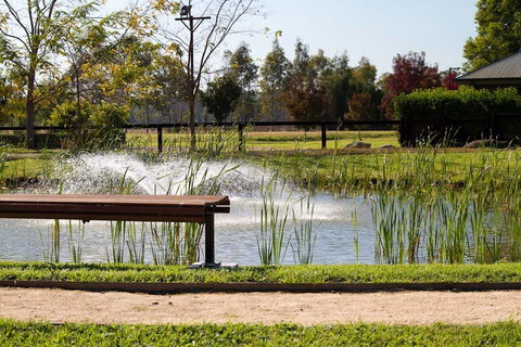 Potters Apartments - Accommodation China 23