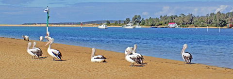 Pelican Motor Inn - Accommodation Guide 29
