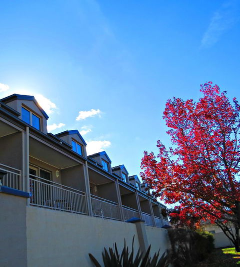 Best Western Plus Goulburn - Accommodation China 9