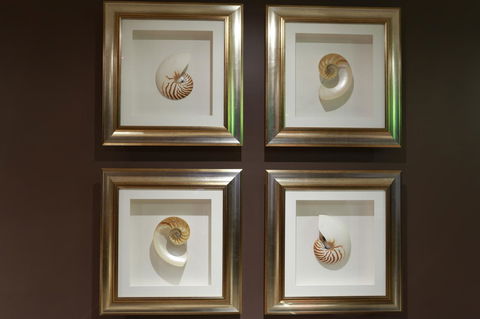 Peppers The Hills Lodge - Accommodation Asia 11