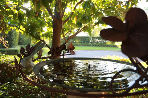 Peppers The Hills Lodge - Accommodation Asia 30