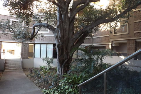 Fiori Apartments - Accommodation Guide 32