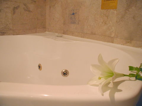 Novotel Sydney Brighton Beach - Accommodation Asia 11