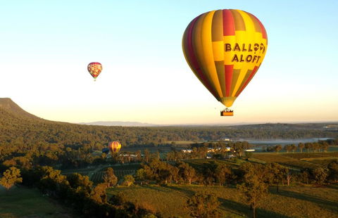 Coal D\' Vine VIEW - Cessnock NSW - Accommodation China 14
