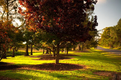 Bundanoon Country Inn Motel - Accommodation Asia 20