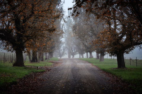 Bundanoon Country Inn Motel - Accommodation Asia 17