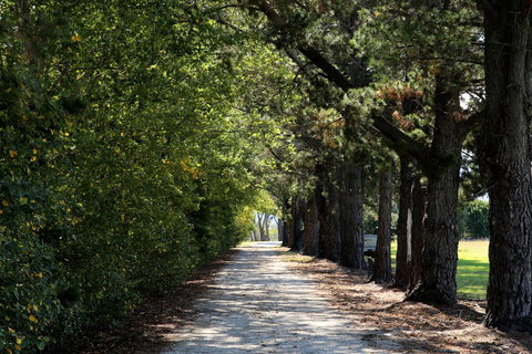 Terara Riverside Retreat - Accommodation Asia 26