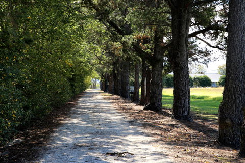 Terara Riverside Retreat - Accommodation Asia 30