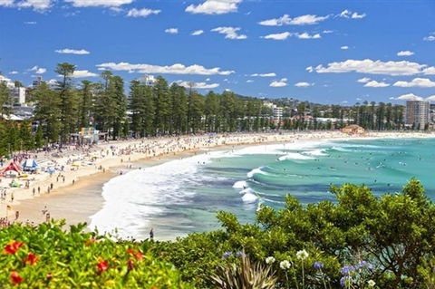 Oversized 2 Bedroom Manly Beach House - Accommodation Asia 12