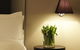 Kirketon Hotel Sydney - thumb 19