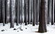 Pound Creek Gallery - thumb 2