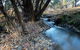 Pound Creek Gallery - thumb 26