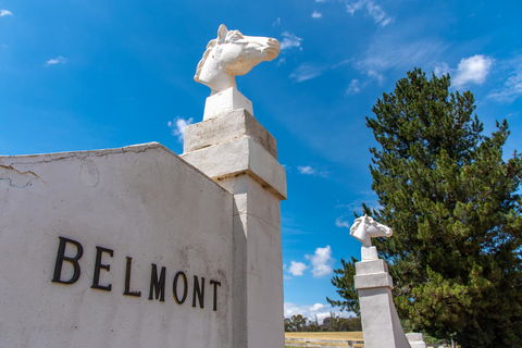 Belmont - Accommodation Asia 4