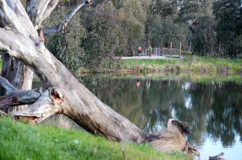 Mercure Albury - Accommodation Asia 15