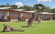 Discovery Parks - Pambula Beach - thumb 0