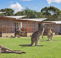 Discovery Parks  Pambula Beach - Accommodation Asia