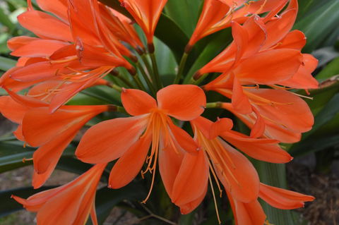 JE Guesthouse, Central To All The Hunter Valley Has To Offer - Accommodation Asia 39