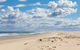 Birubi Beach Holiday Park - thumb 44