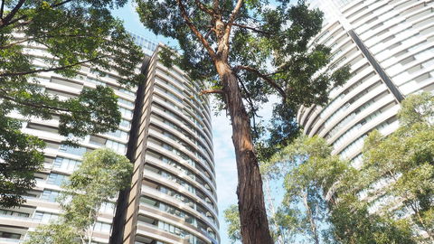 SkyGarden Sydney Olympic Park 3 & 4 Bedroom City View - Accommodation Asia 33