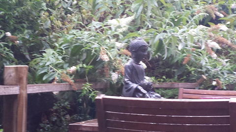 Lark Cottage - Accommodation China 19