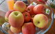 The Apple Inn - thumb 12
