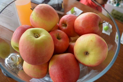 The Apple Inn - Accommodation Asia 12