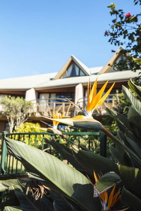 Beach Hotel Resort - Accommodation Guide 36