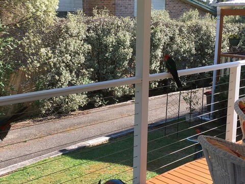 The Best Exotic Magnolia Cottage - Accommodation Asia 15