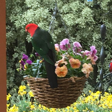 The Best Exotic Magnolia Cottage - Accommodation Asia 32