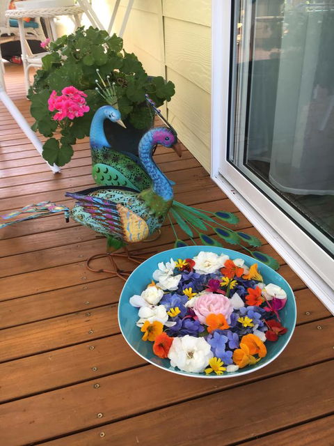 The Best Exotic Magnolia Cottage - Accommodation Asia 8