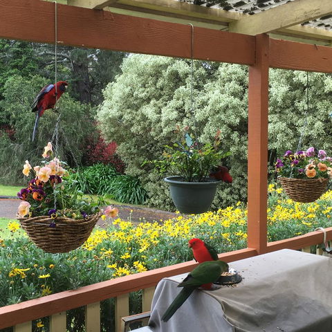 The Best Exotic Magnolia Cottage - Accommodation Asia 33