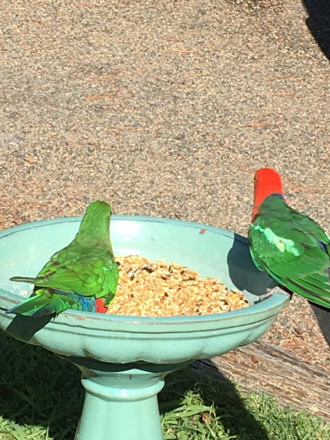 The Best Exotic Magnolia Cottage - Accommodation Asia 12