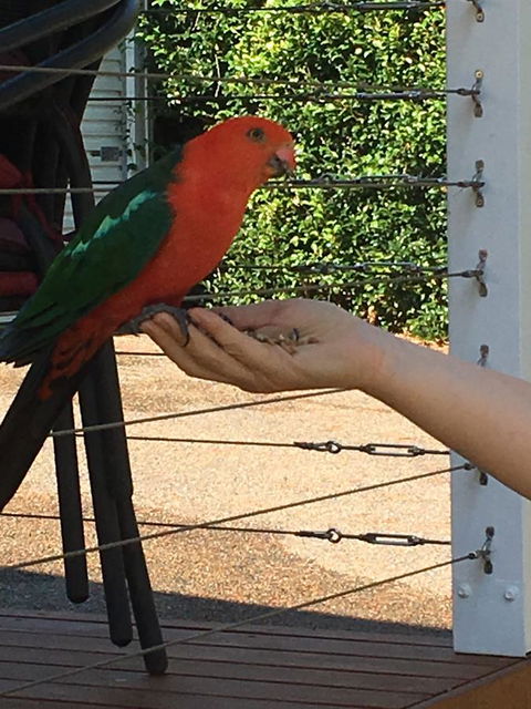 The Best Exotic Magnolia Cottage - Accommodation Asia 13