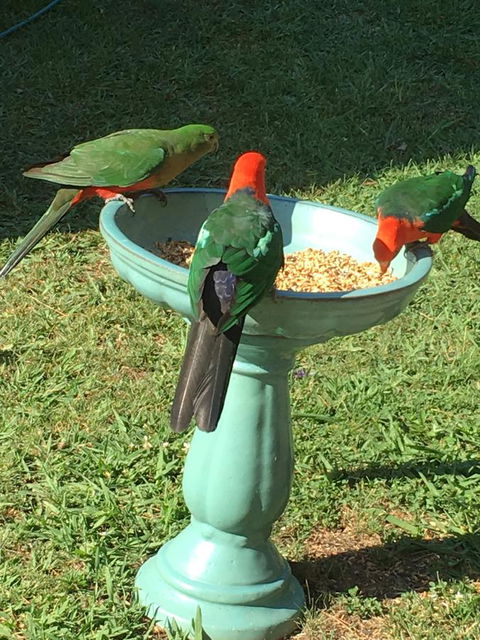 The Best Exotic Magnolia Cottage - Accommodation Asia 10