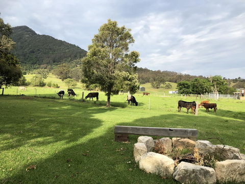 Arcadia - The Barn Cottage & Rosehill Cottage - Accommodation Asia 29
