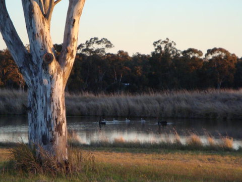 Adina Vineyard - Accommodation Guide 10