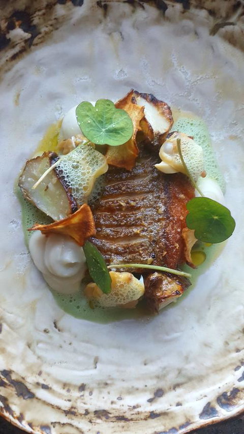 Adina Vineyard - Accommodation Guide 3