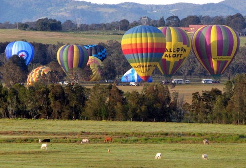 Adina Vineyard - Accommodation Guide 9