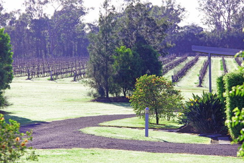 Adina Vineyard - Accommodation Guide 14