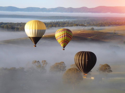 Adina Vineyard - Accommodation Guide 21