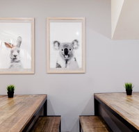 Mad Monkey Backpackers on Broadway - Accommodation Guide