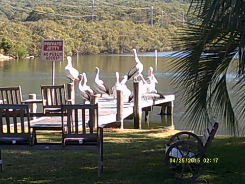 Pelican H2O One & Two Bedroom Apartments - Accommodation Asia 9