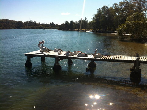 Pelican H2O One & Two Bedroom Apartments - Accommodation Asia 5