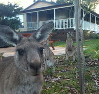 Bush  Bay Cottage - Accommodation Asia