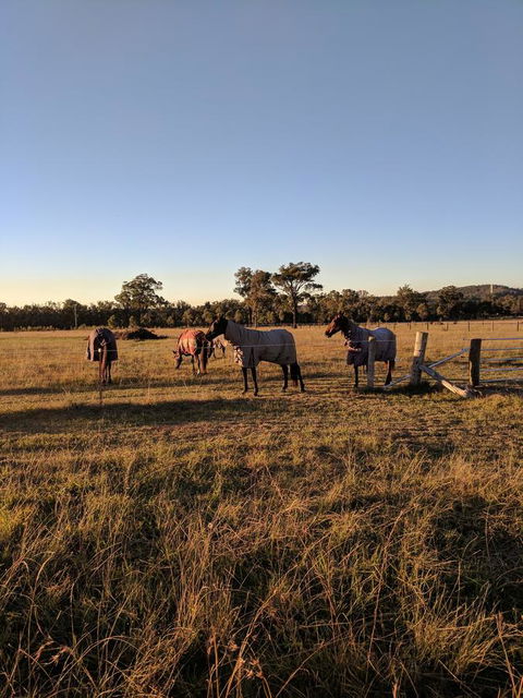 Madigan Wine Country Cottages - Accommodation Asia 8