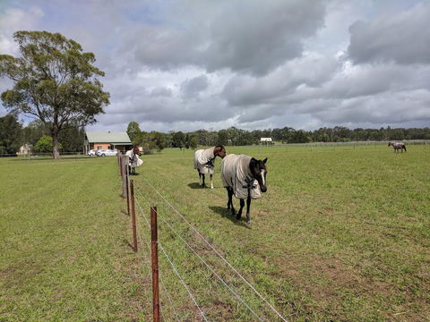 Madigan Wine Country Cottages - Accommodation Asia 9
